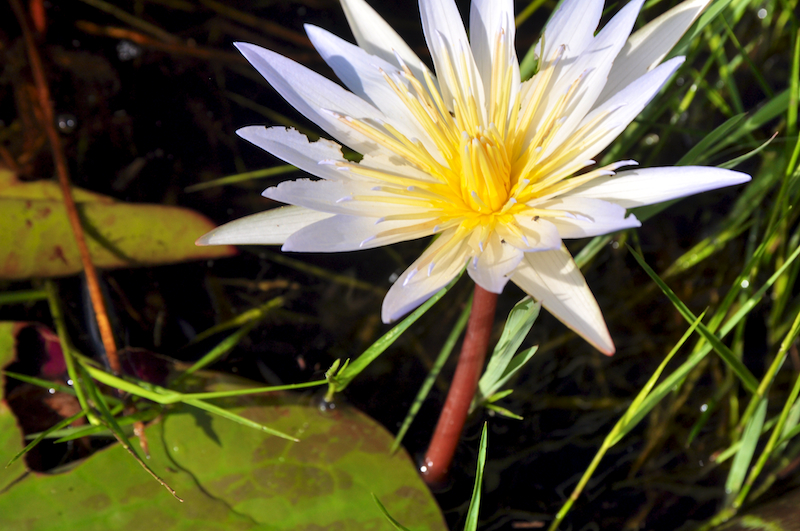 Melanie Heinrich Travel Images Africa